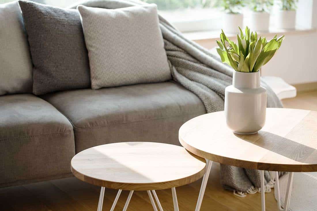 Close up of tulips on wooden round table in natural gray living room interior with couch