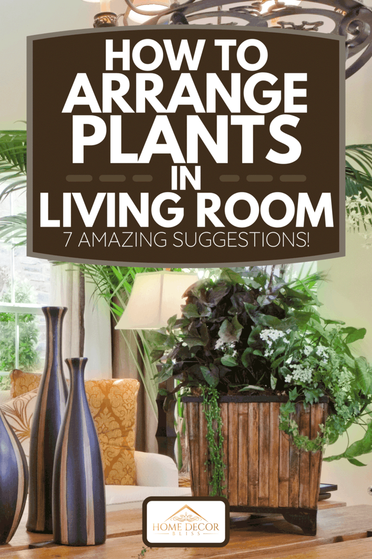 Overview of natural nature themed living room, How To Arrange Plants In Living Room [7 Amazing Suggestions!]
