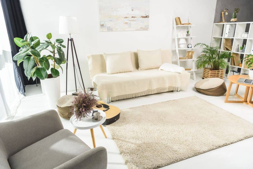 Interior of a white Scandinavian themed living room with indoor plants on the living room 