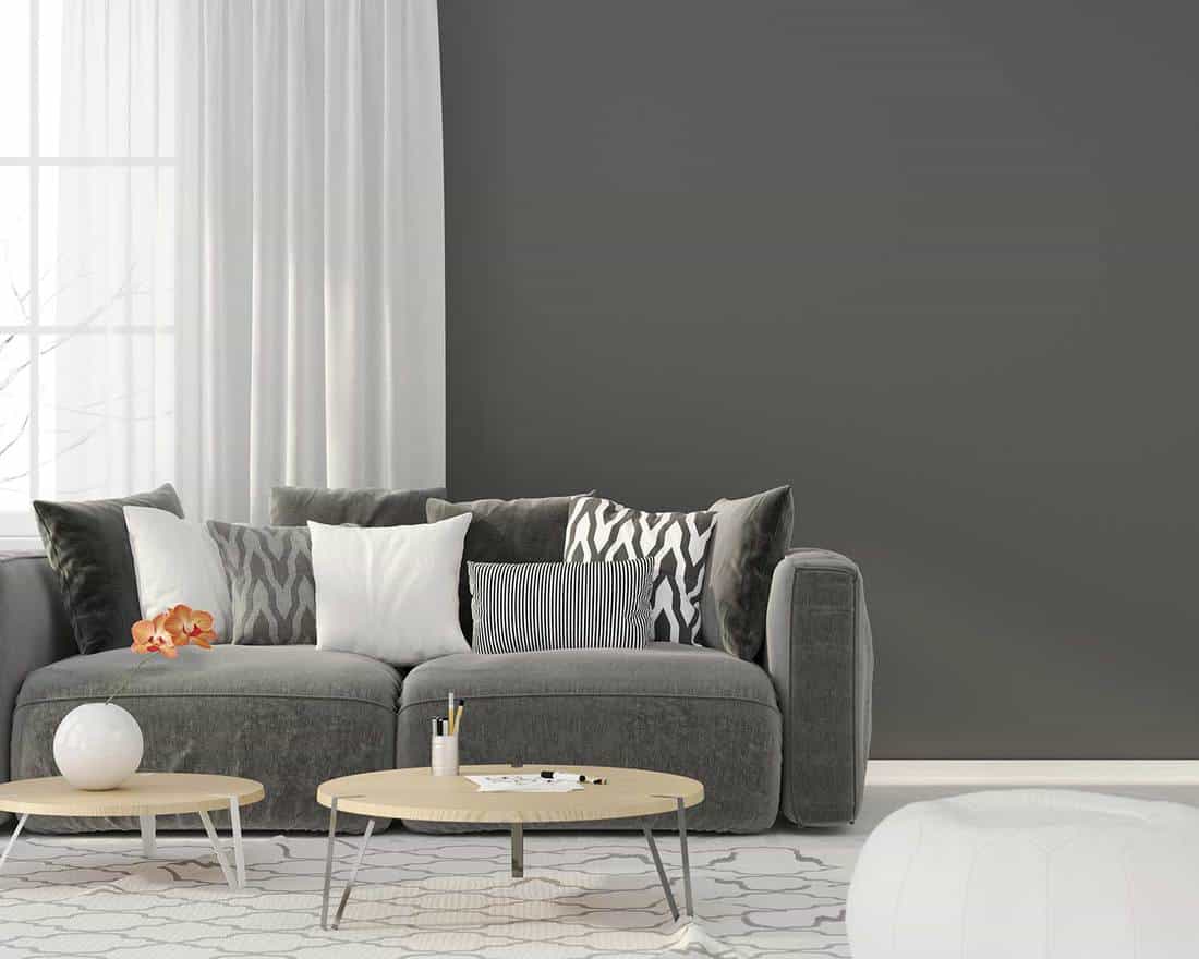 Living room with a gray sofa and wall
