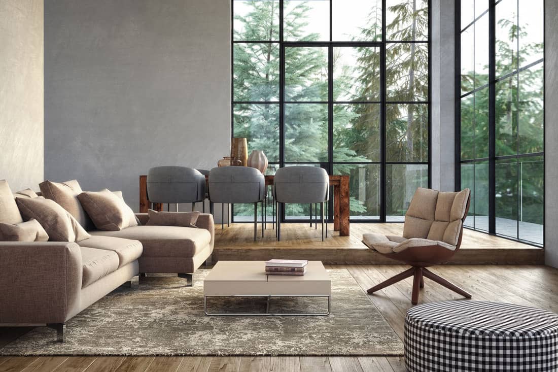 Modern luxury living room interior with gray and beige colored furniture and wooden elements, Should You Have A Rug In Your Living Room?