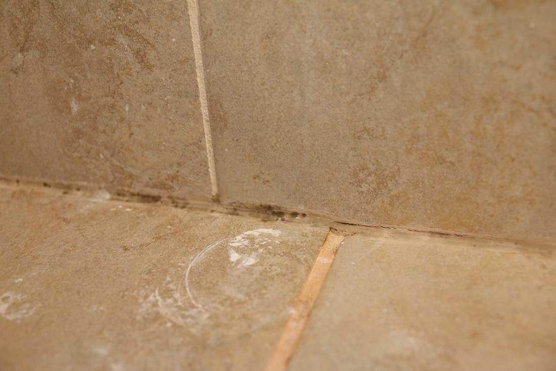 Moldy tile and grout in tan shower bath on shelf ledge