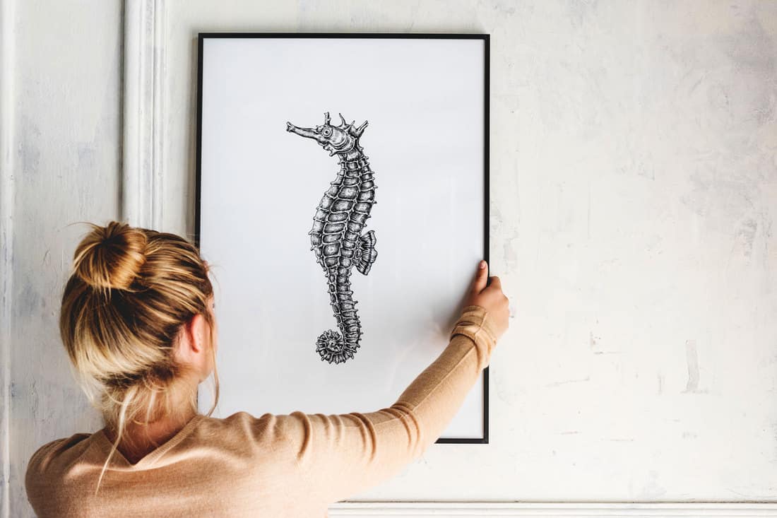 Photo of hand drawing seahorse is hanging on the wall, 5 Ways To Hang Picture Frames Without Wire