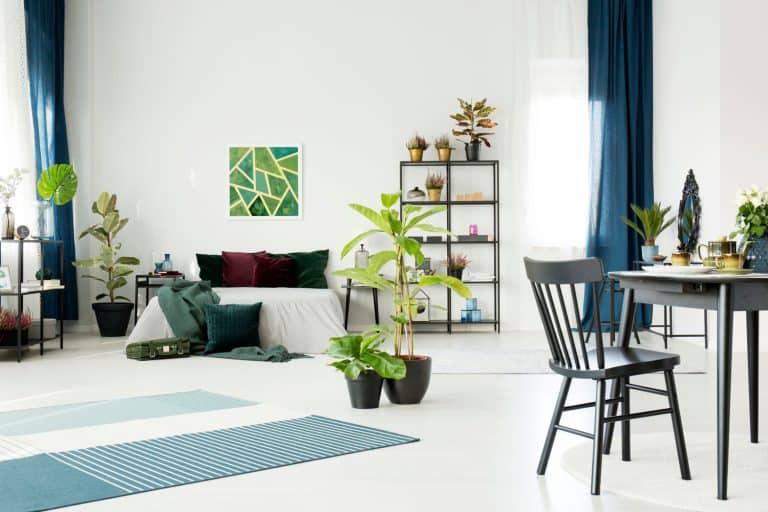 Small black dining table and chair in a bright white studio room interior with large bed, plants, ruggable rug and emerald decorations, Do Ruggable Rugs Work On Carpet?