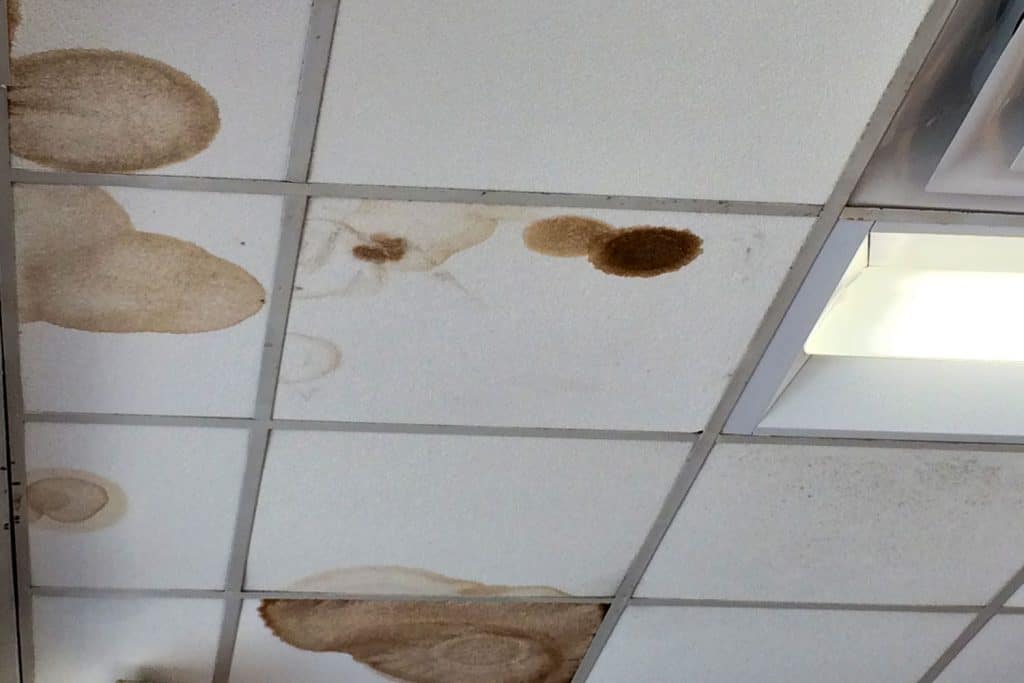 How To Repair Water Damaged Ceiling Tiles / Reavis Hall To