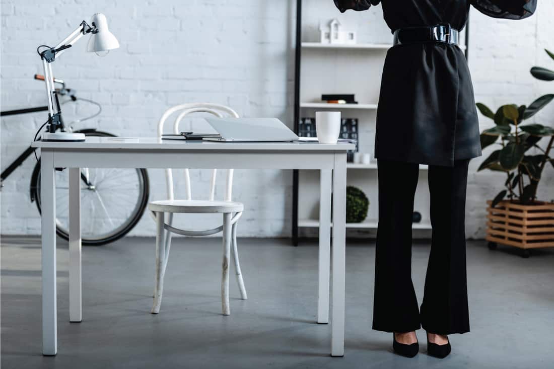 woman in black clothes standing near table and chair. rubber tree ficus elastica on the corner of the room. 11 Indoor Trees That Need Little Light