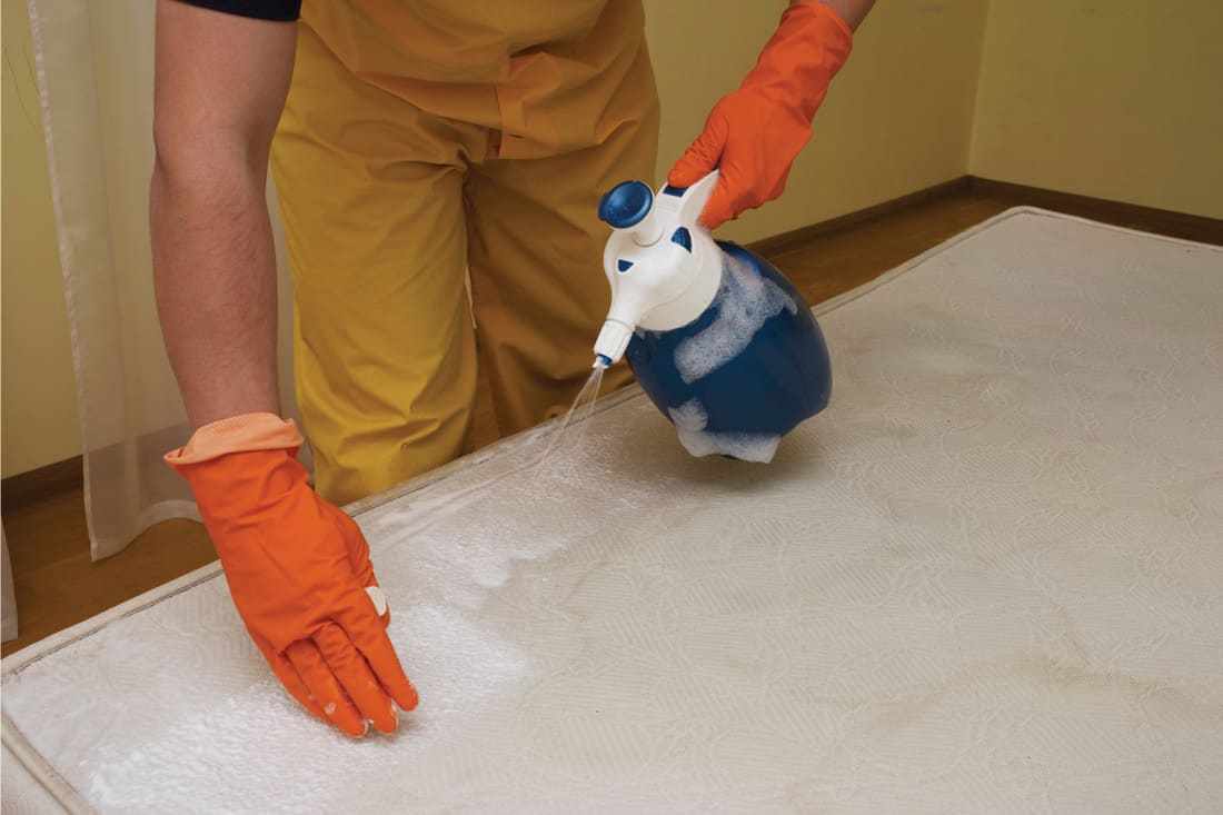 worker spraying cleaning liquid to a soiled mattress. How To Remove Blood Stains From Mattress [6 Great Solutions!]
