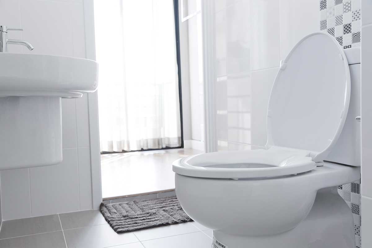 Bright bathroom interior with toilet and gray rug, 5 Of The Best Toilets For A Heavy Person