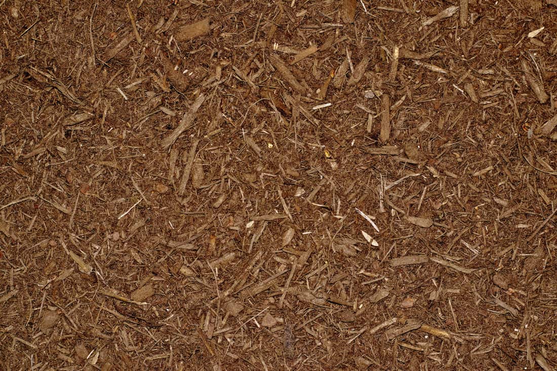 Brown background of chipped mulch pieces in a garden seen in full-frame from directly above.
