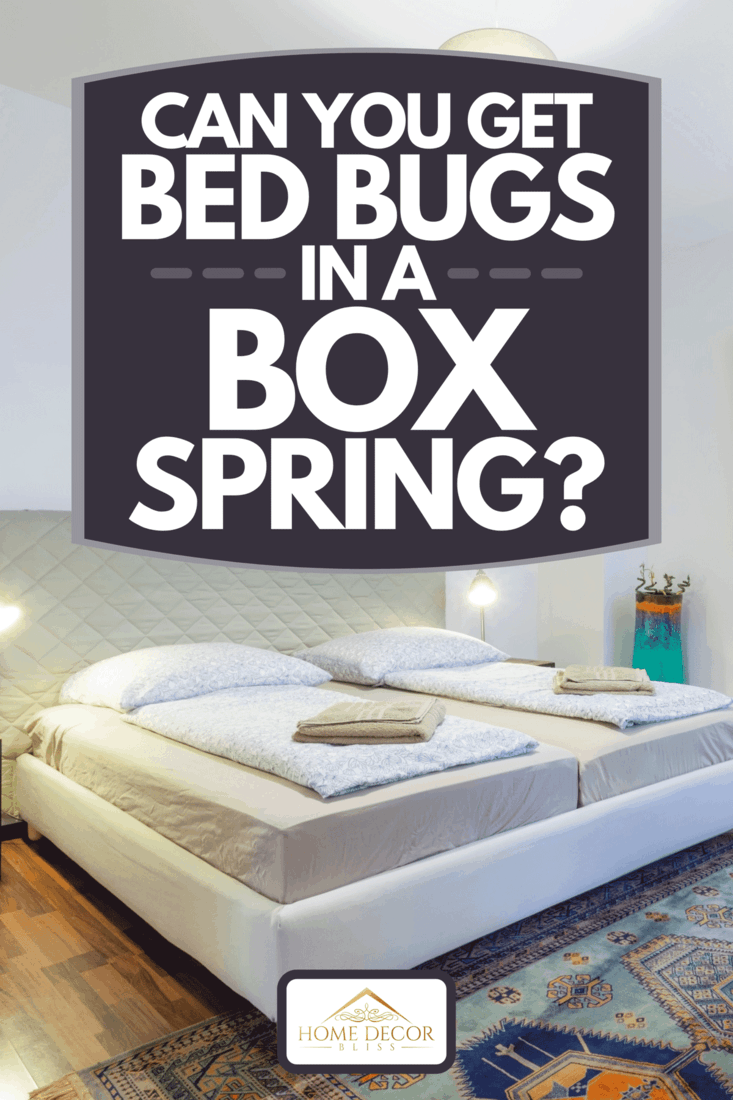 A modern and elegant bedroom with a king-sized bed, carpet and bedside table, Can You Get Bed Bugs In A Box Spring?