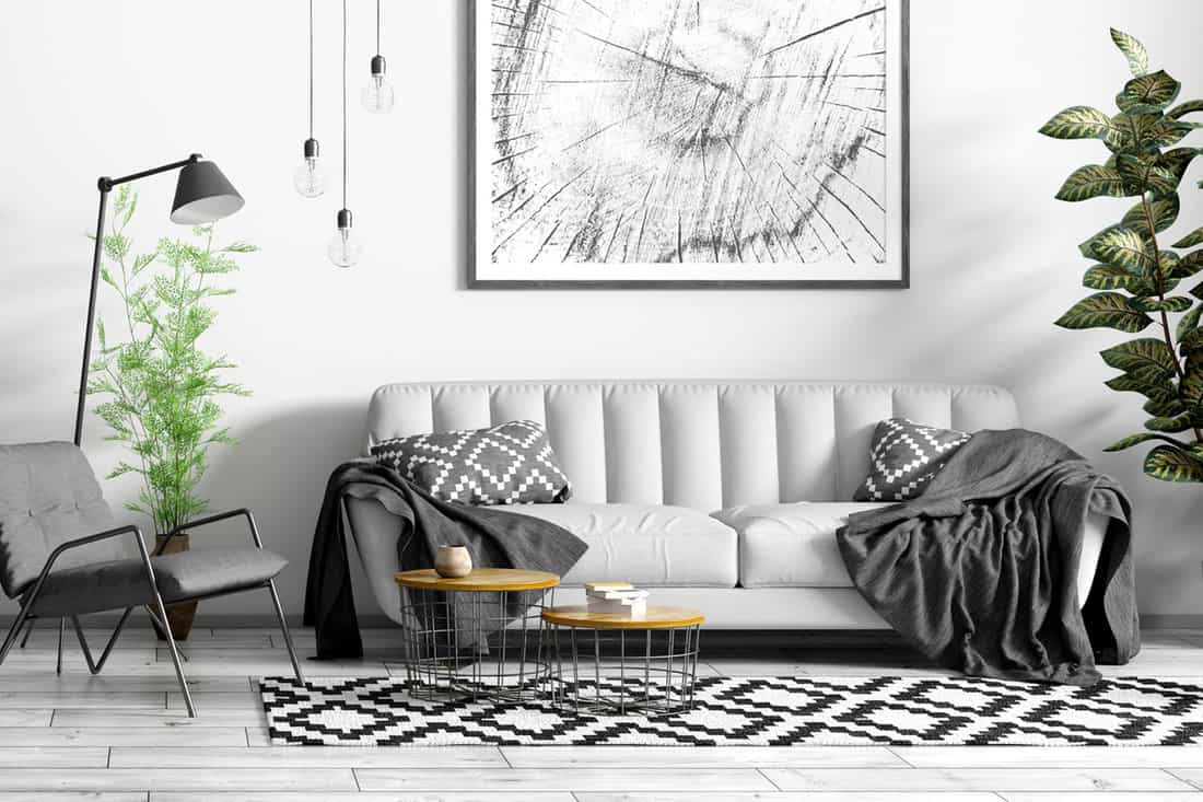 Modern interior design of scandinavian, living room with grey sofa, black armchair, coffee tables and plant, How Many Floor Lamps Can Be Placed In A Living Room?