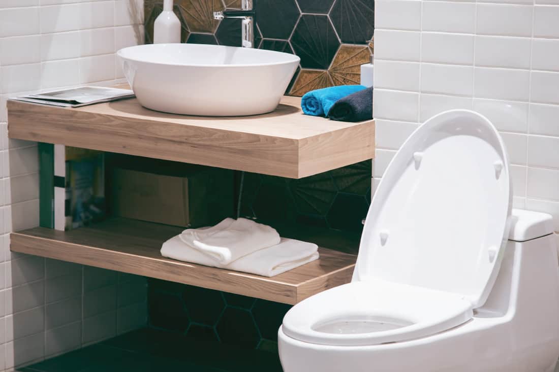Modern spacious bathroom with bright tiles with toilet and sink. Do Toilets Come With Seats [Popular Brands Explored]