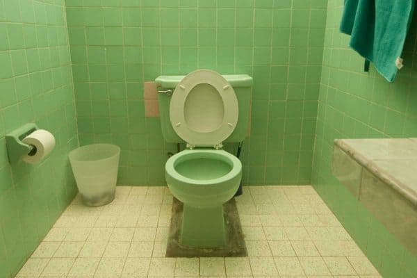 Read more about the article Do Toilets Come In Different Colors?