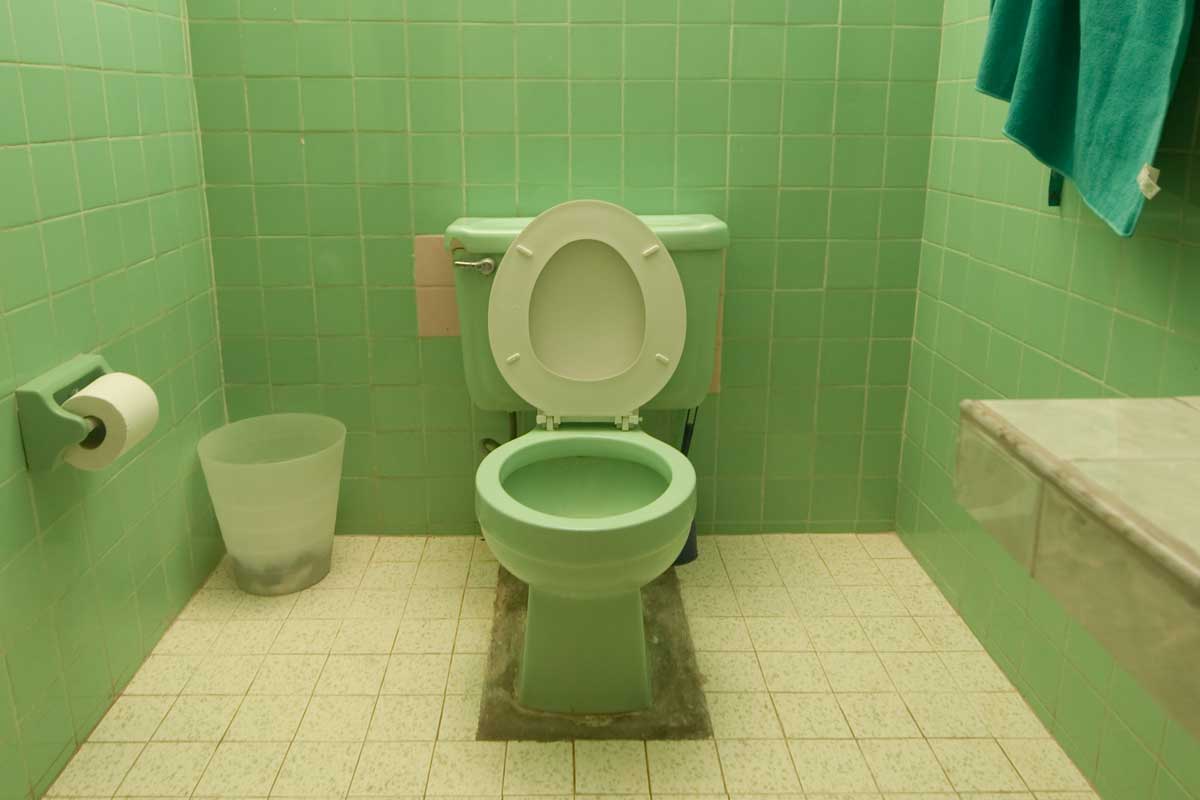 White and green theme tiled bathroom, Do Toilets Come In Different Colors?