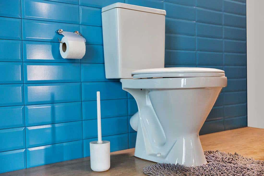 White toilet bowl in modern bathroom