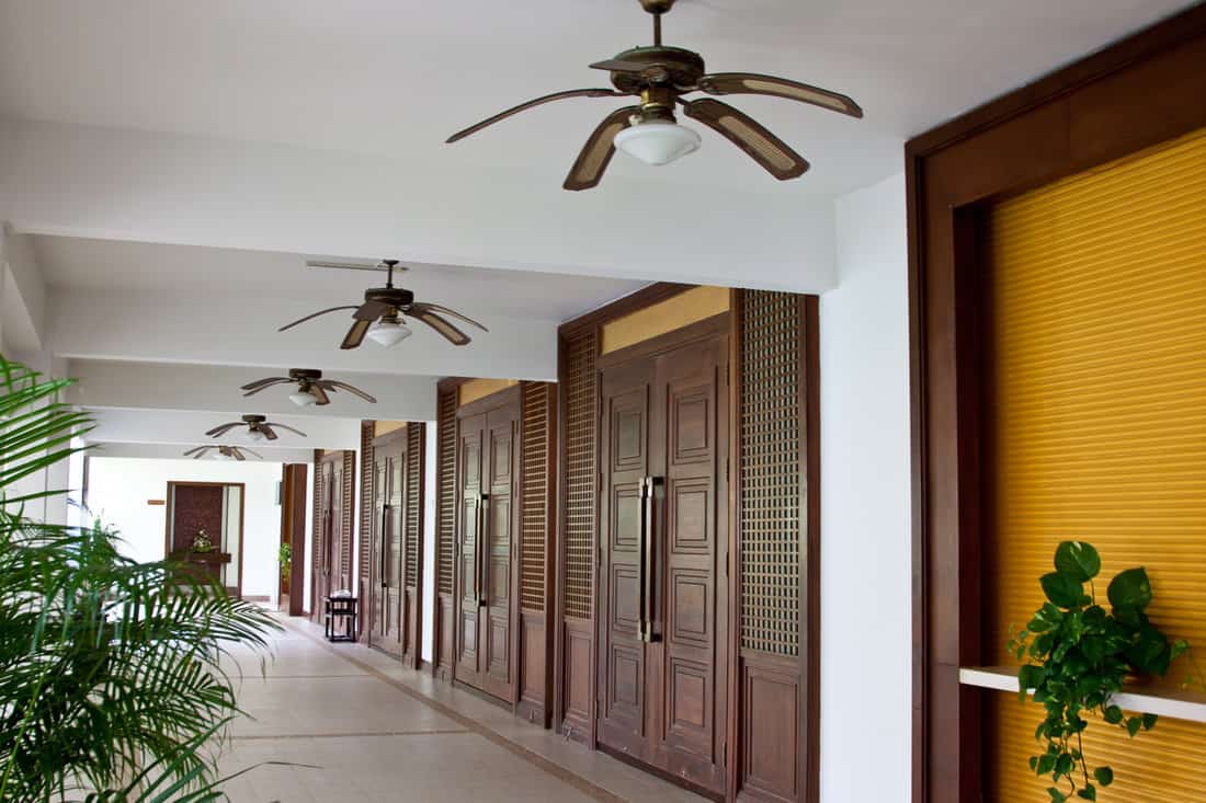 outdoor ceiling fans 
