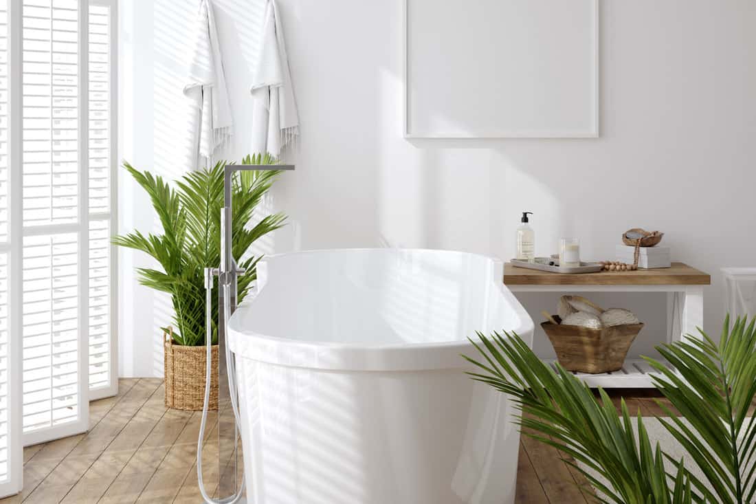 white cozy bathroom interior background with hanging towels and plants on the ground, In Which Direction Should A Bathtub Be?