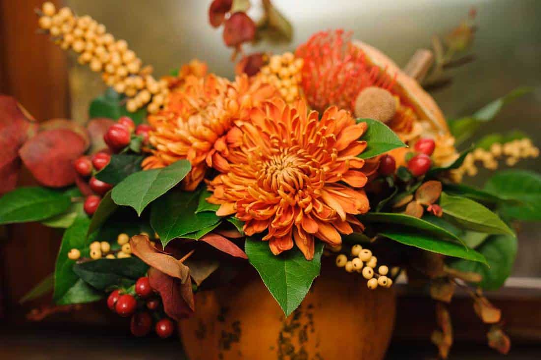 A pumpkin with beautiful and bright autumn flowers inside, standing on the brown wooden window sill, 15 Stunning Orange Flower Arrangement Ideas