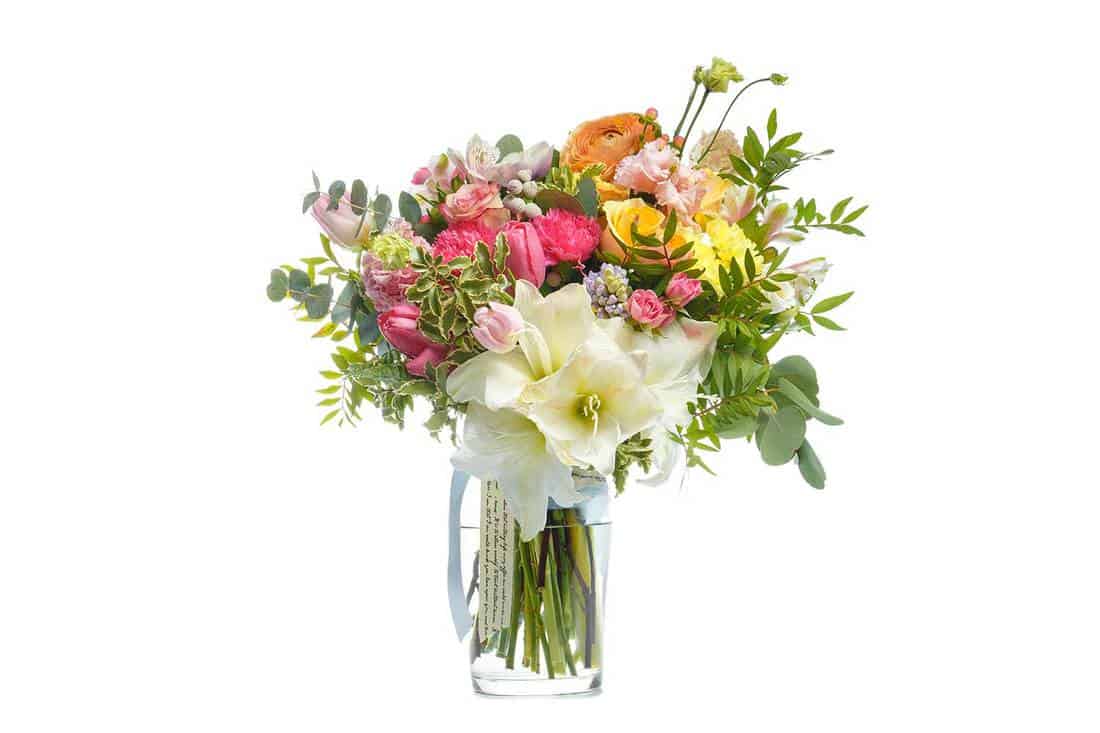 Beautiful bouquet of bright flowers in vase isolated white background