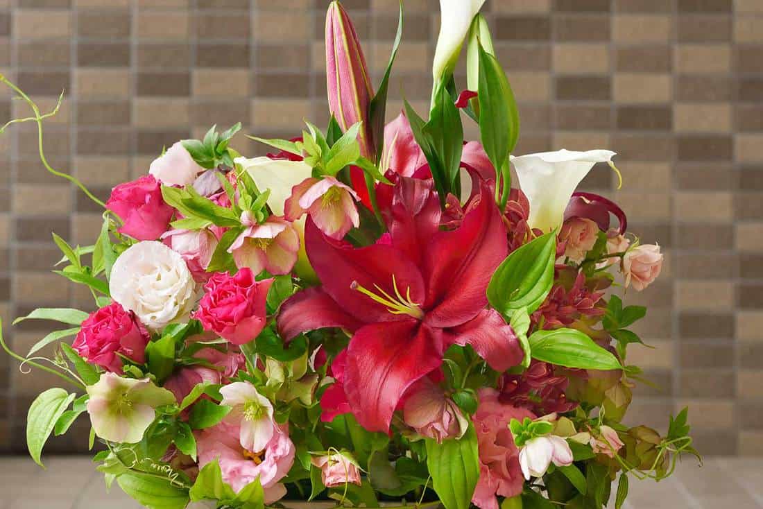 Beautiful flower arrangement of roses, cymbidiums, zantedeschia, lilies, and carnations
