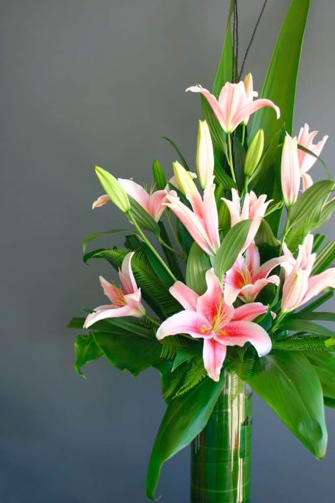 Beautifully arranged flower vase using pink lilies and gorgeous array of leaves