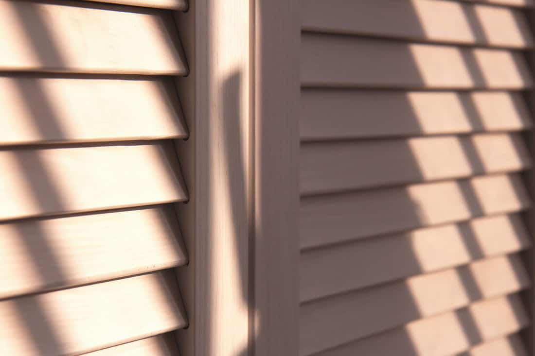 Contrasting shadows on classic white louvered doors, How To Clean A Louvered Door [3 Effective Methods]