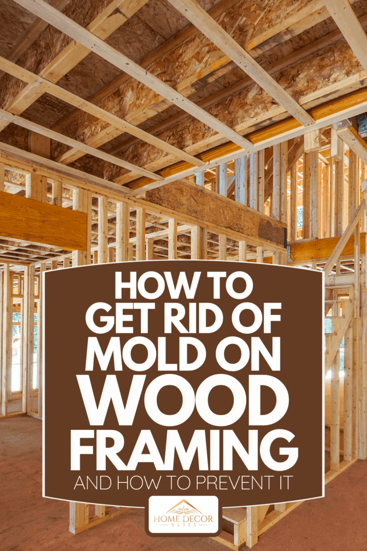 How To Get Rid Of Mold On Wood Framing -- And How To Prevent It