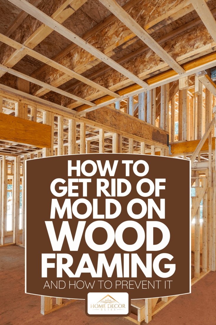 New house construction interior framing, How To Get Rid Of Mold On Wood Framing -- And How To Prevent It
