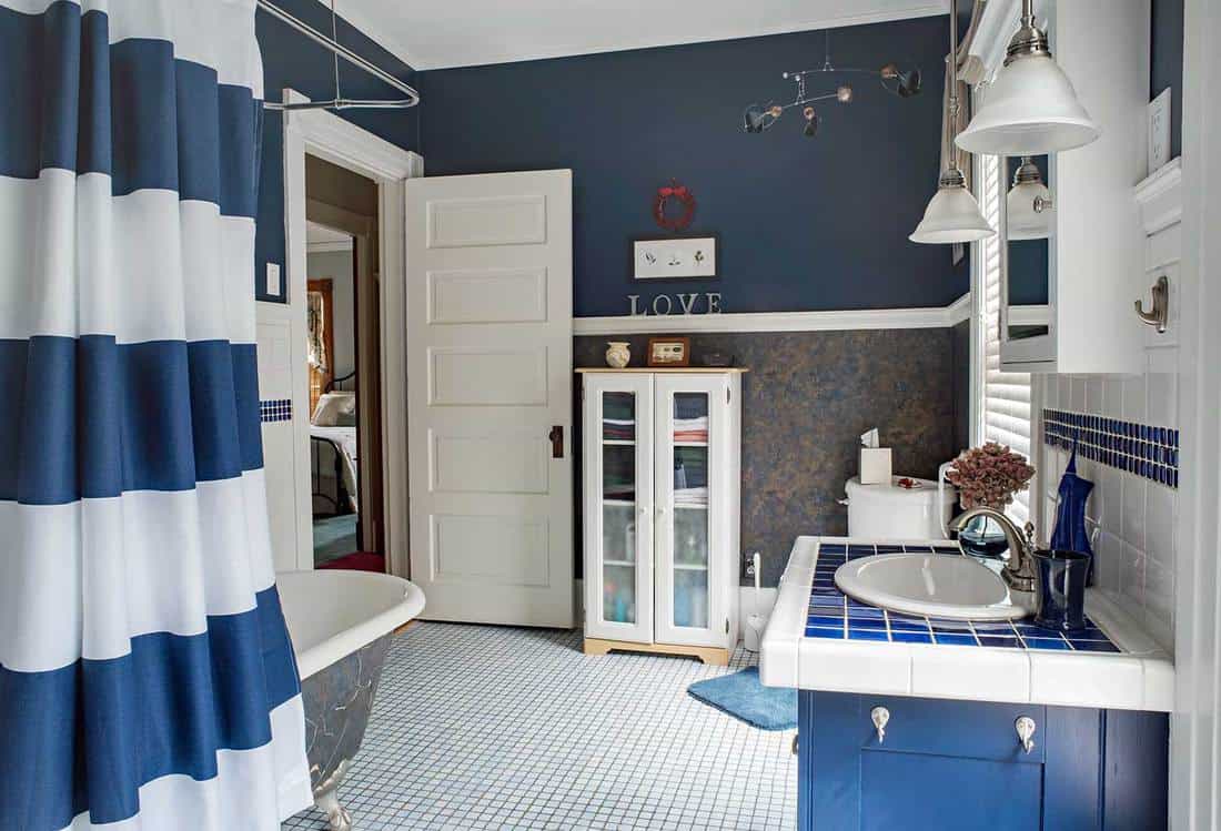 Large blue and white bathroom interior