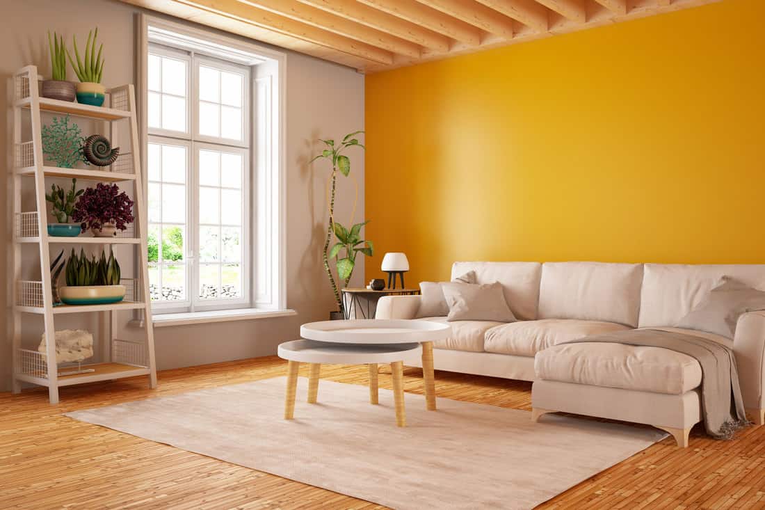 Modern yellow living room interior with sofa