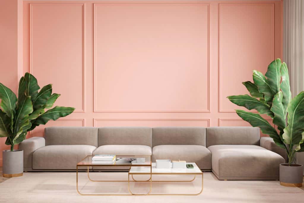 Modern minimalism peach interior with couch, sofa, palm plants and coffee tables.