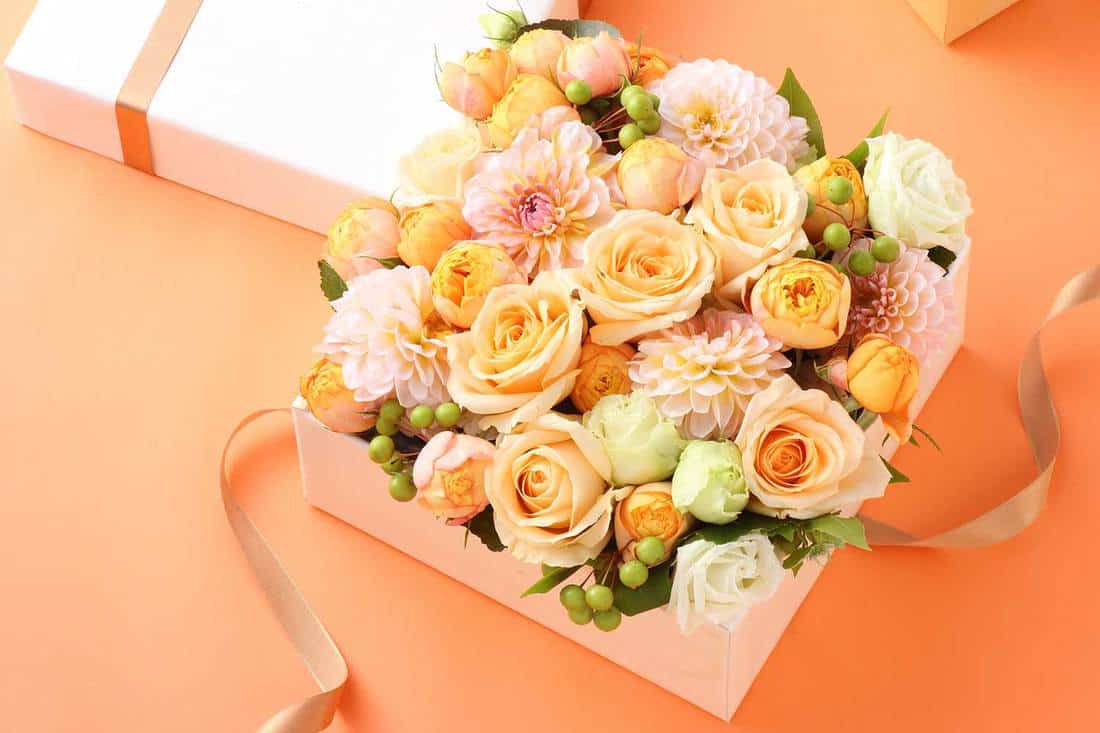 Orange bouquet in a box on orange background