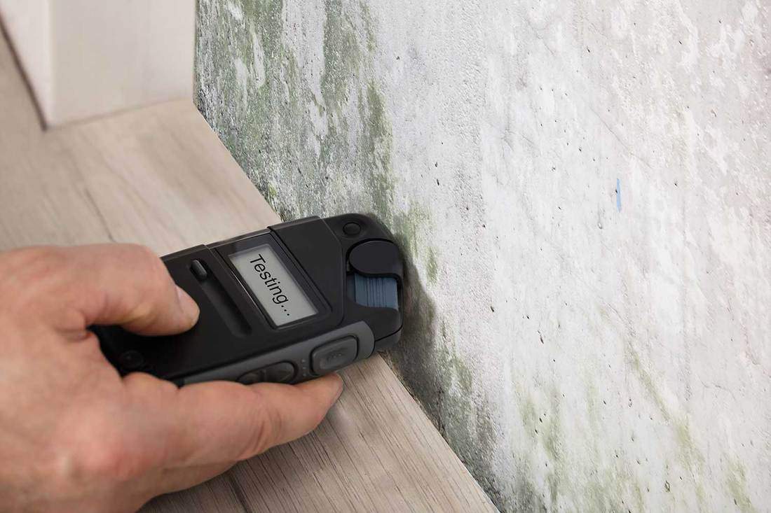 Person hand measuring the wetness of a moldy wall