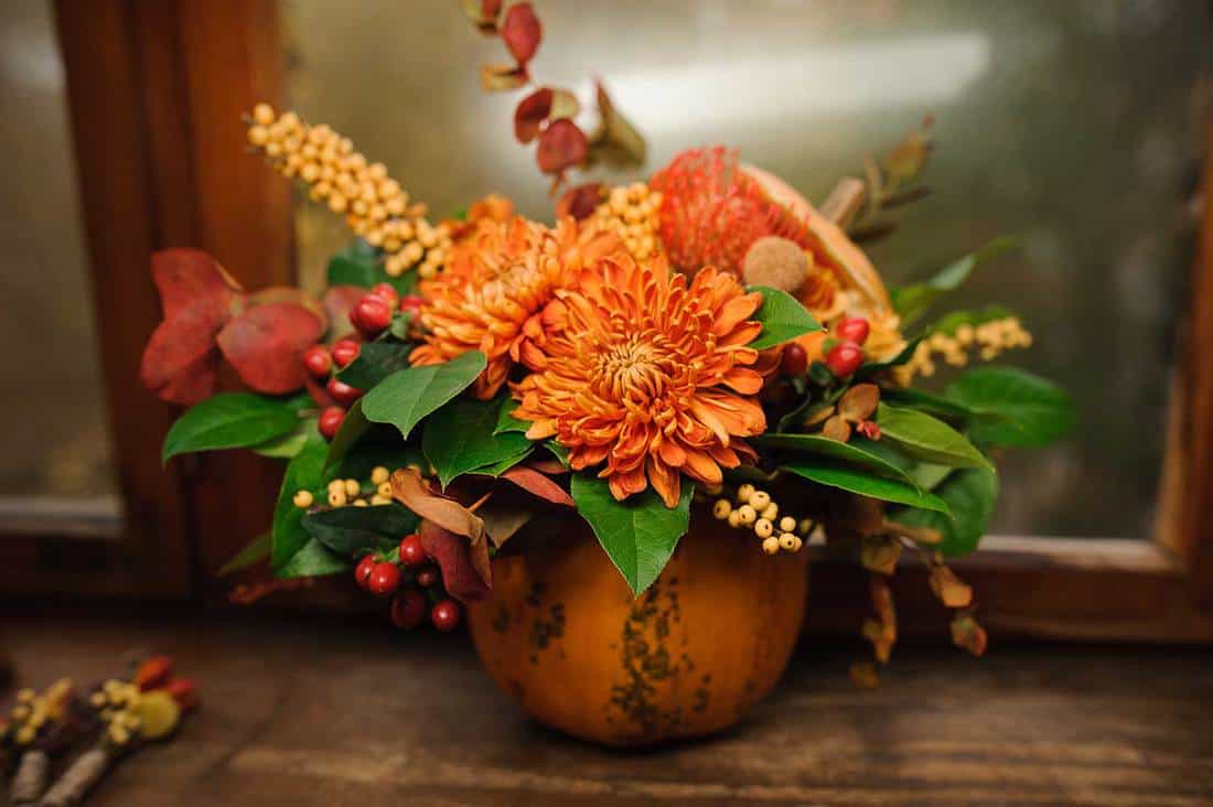 Pumpkin with beautiful and bright autumn flowers inside, standing on the brown wooden window sill