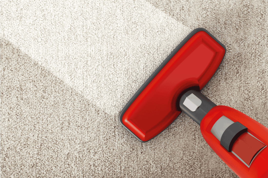 Red vacuum cleaner cleaning a carpet.