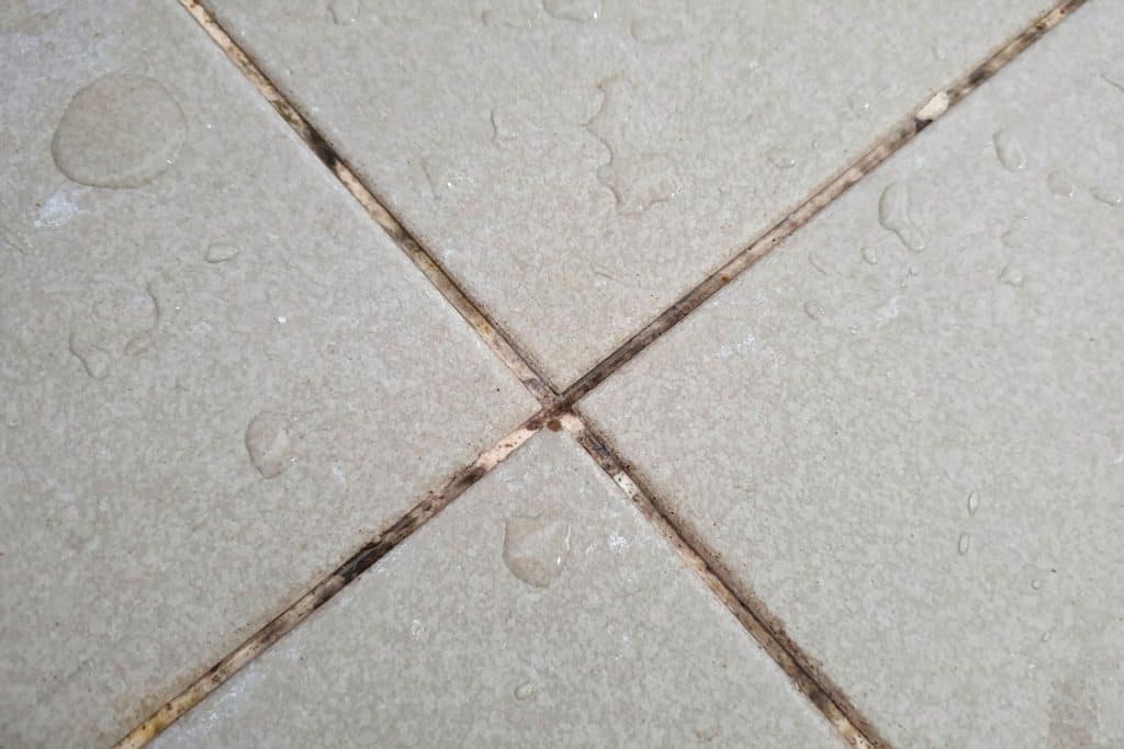 Wet dirty tile grout