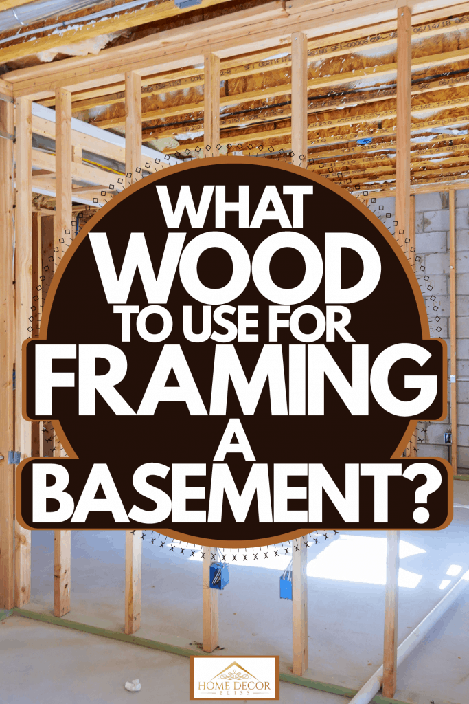 Wooden framing of a basement with visible wiring and unfinished plastered cement, What Wood To Use For Framing A Basement?