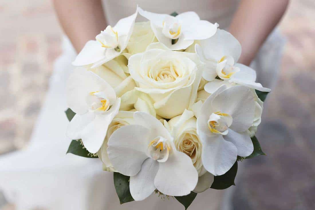 White wedding bouquet of roses and orchids in the hands of the bride