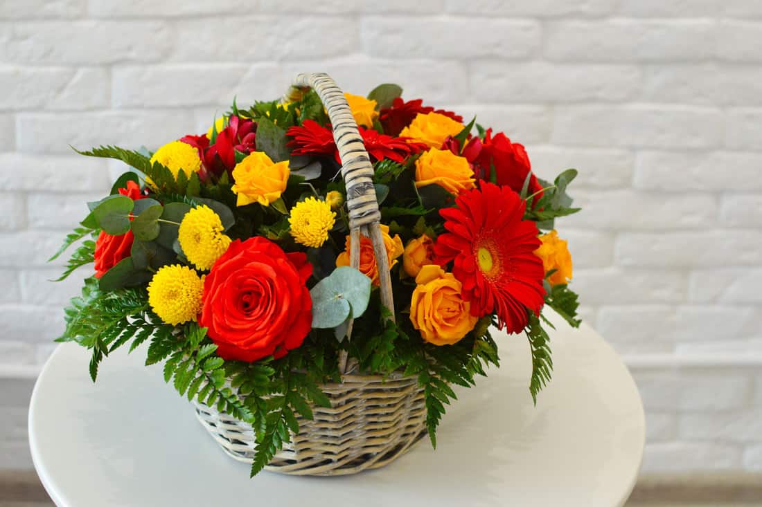 A bouquet of flowers using red roses, red margaritas, and yellow chrysanthemums, 15 Awesome Gerbera Daisy & Daisy Flower Arrangement Ideas