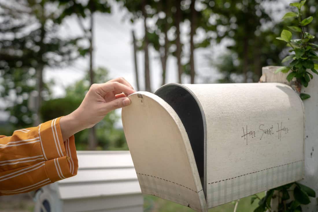 A hand of personal is opening the classical vintage style mailbox to check to letter inside. The mailbox is installed in front of the house, surrounded