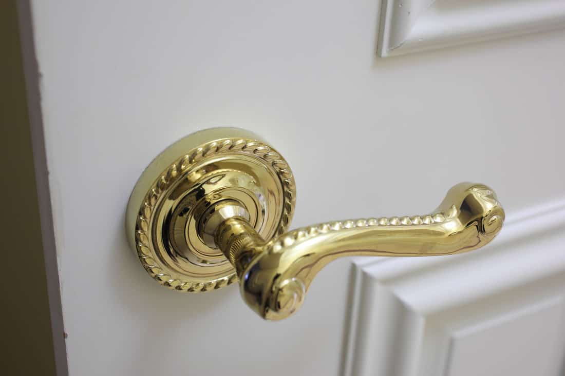 A luxurious gold plated door handle installed in a white door