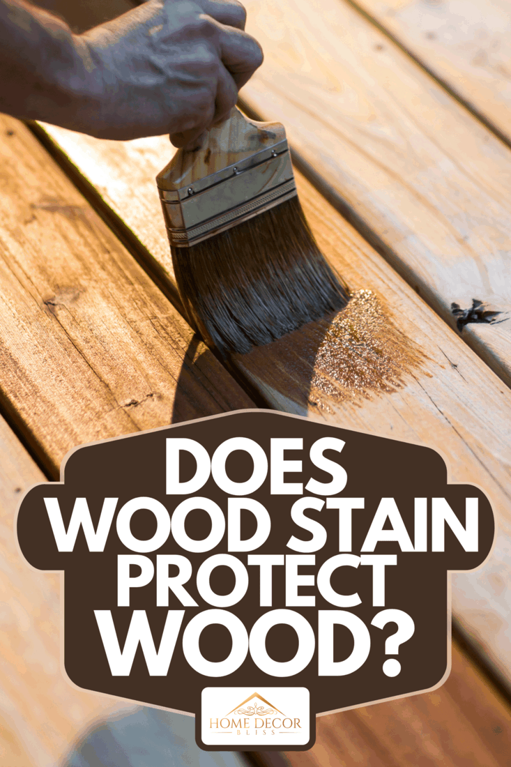 A cropped view of male carpenter applying stain to wooden furniture, Does Wood Stain Protect Wood?