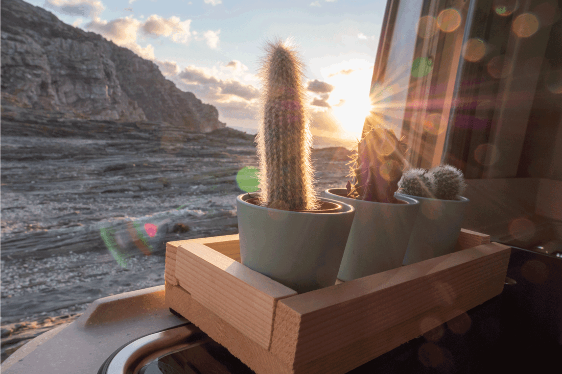 cactus on rv window overlooking beautiful landscape