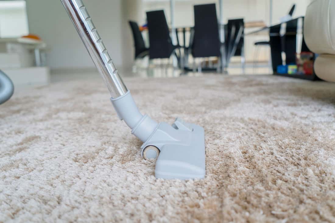 A man using a vacuum cleaner to clean the area rug, How To Vacuum Area Rugs With A Dyson