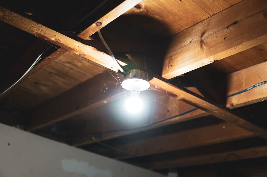A single light on the ceiling in a dark unfinished basement. 