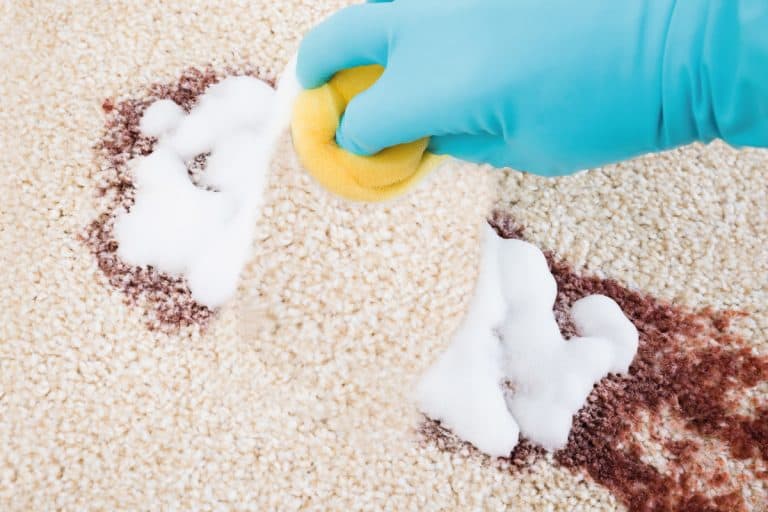 How To Use An Enzyme Cleaner On Carpet