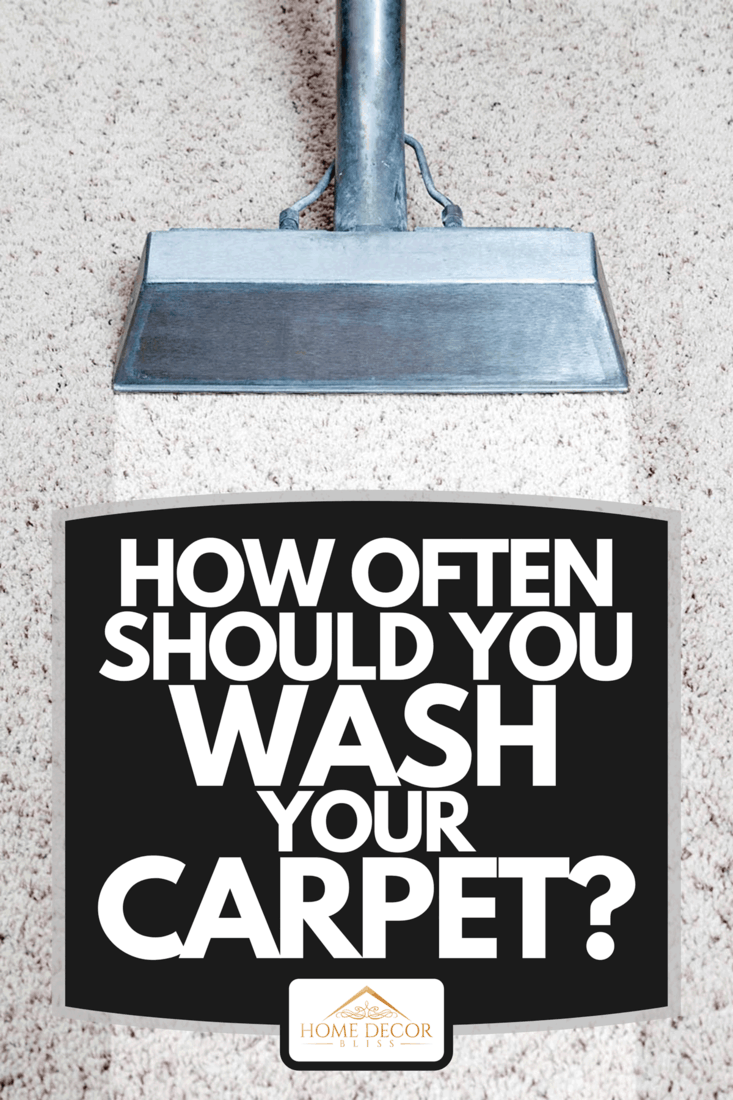 Man cleaning carpet of a home, How Often Should You Wash Your Carpet?