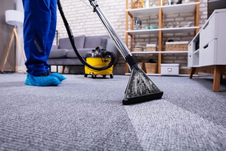 Human Cleaning Carpet In The Living Room Using Vacuum Cleaner At Home, How Long Does Carpet Take To Dry After Using A Cleaner?