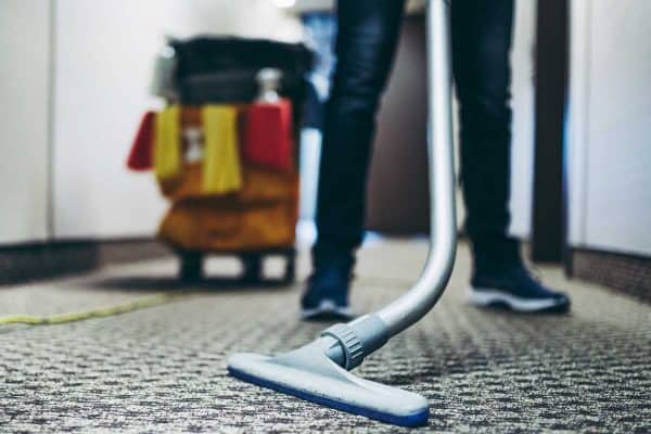 Read more about the article Does Carpet Cleaner Kill Bugs?