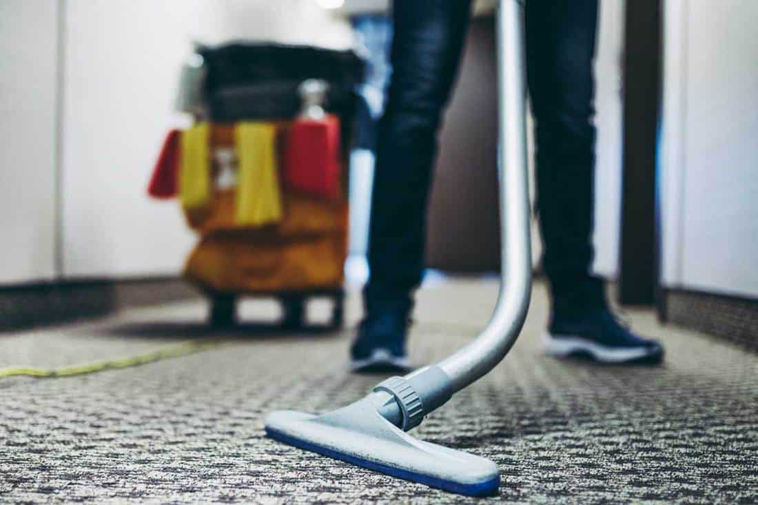 Janitor vacuum cleaning the carpet inside a hotel building, Does Carpet Cleaner Kill Bugs?